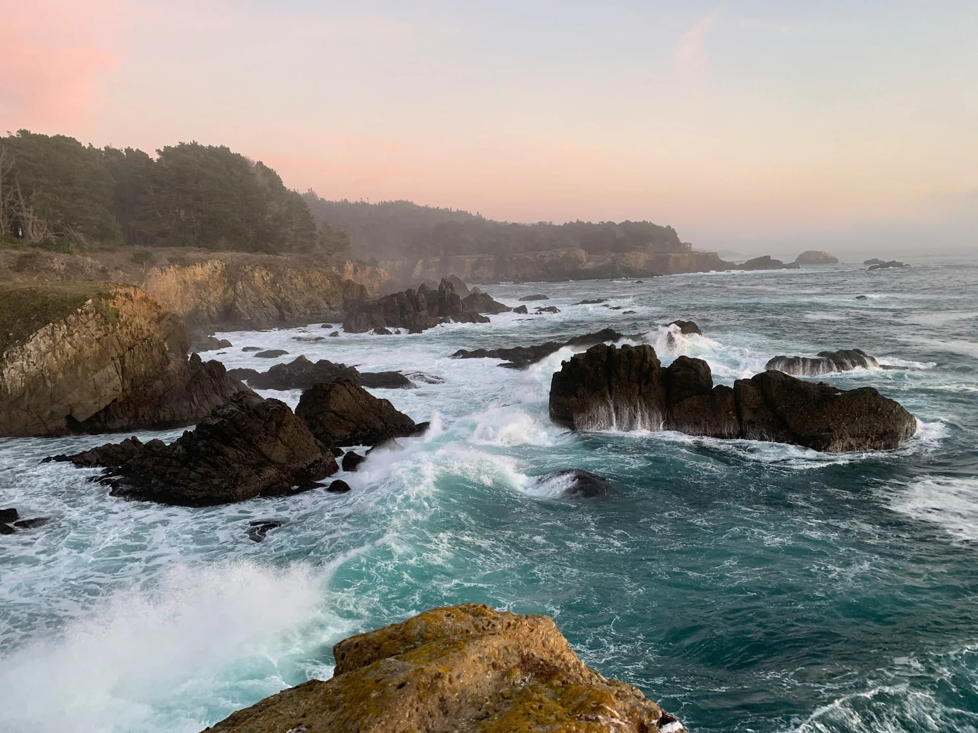 Bodega Bay