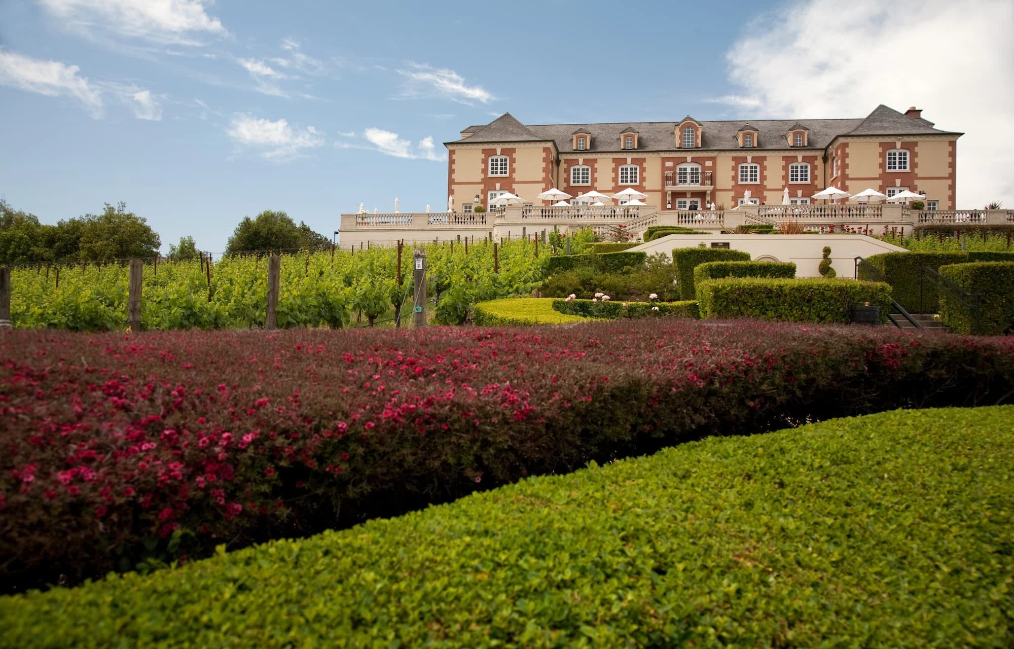 Domaine Carneros