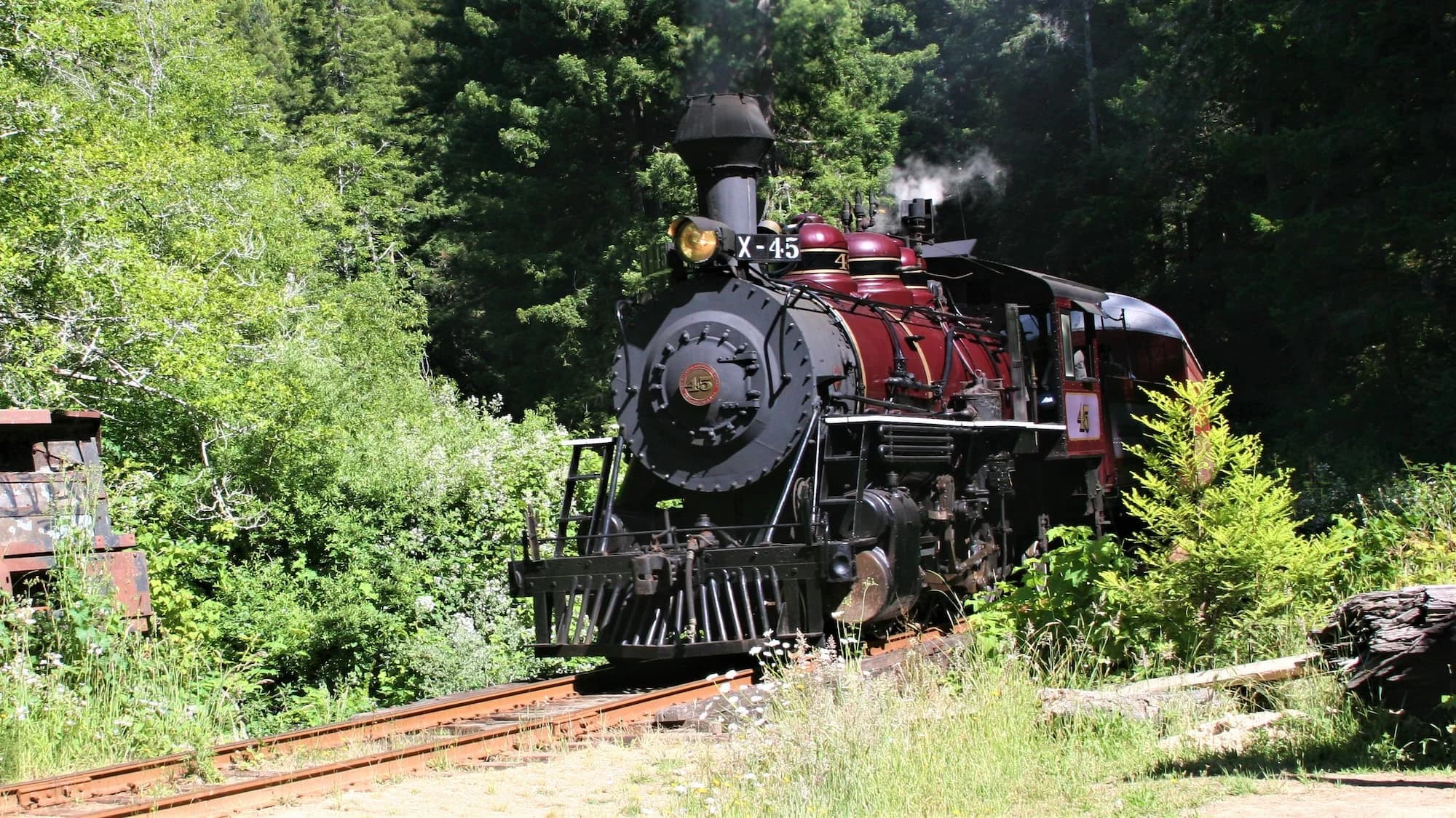 The Skunk Train