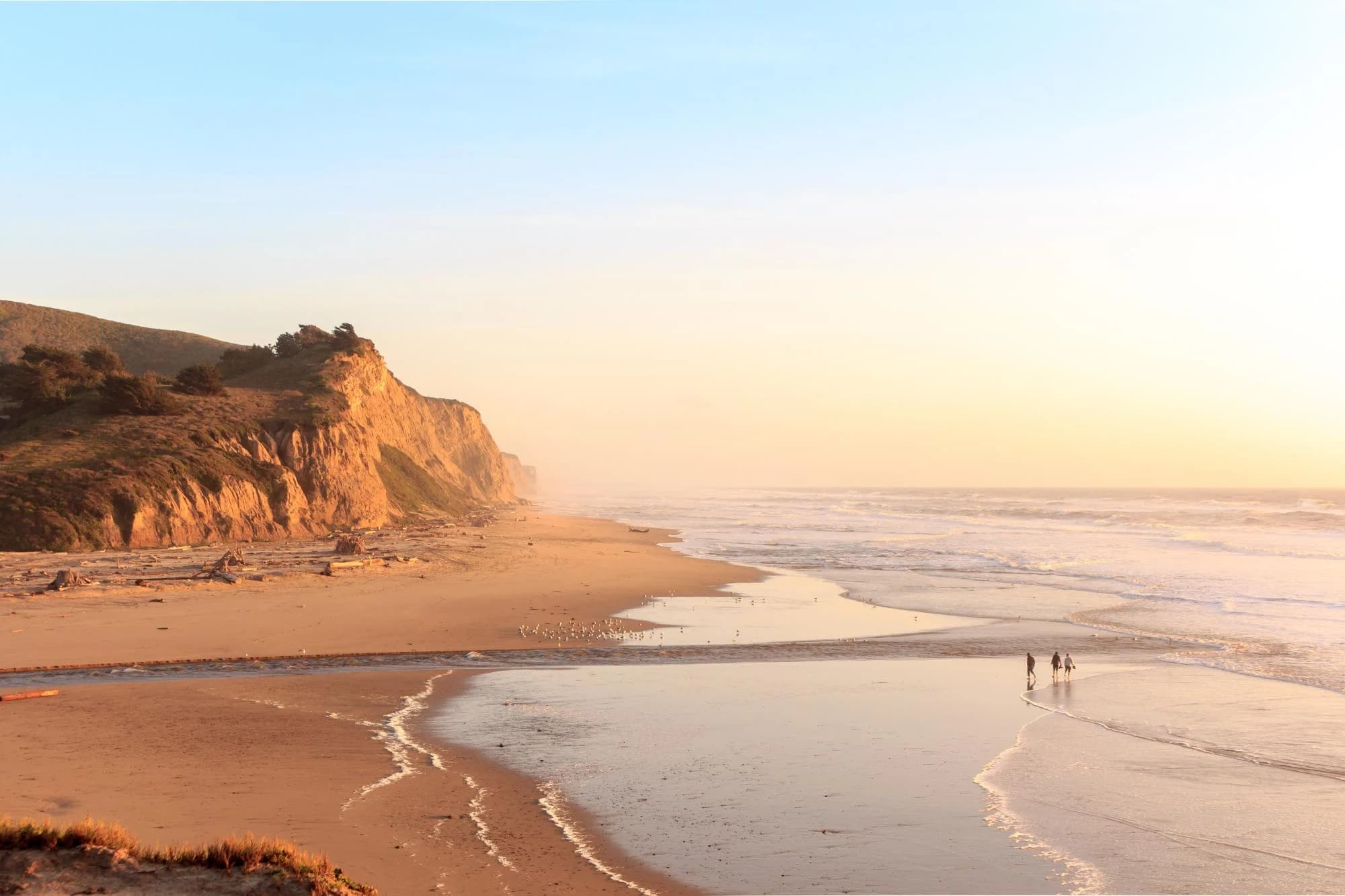 San Gregorio State Beach