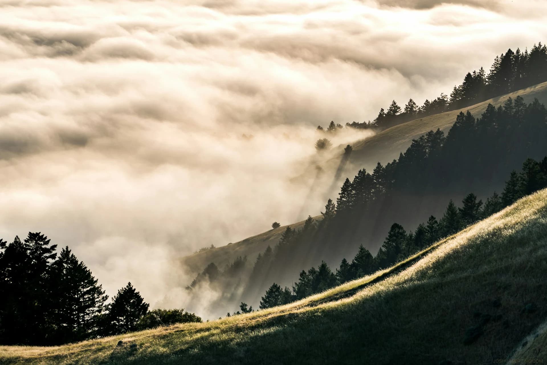 Mount Tamalpais