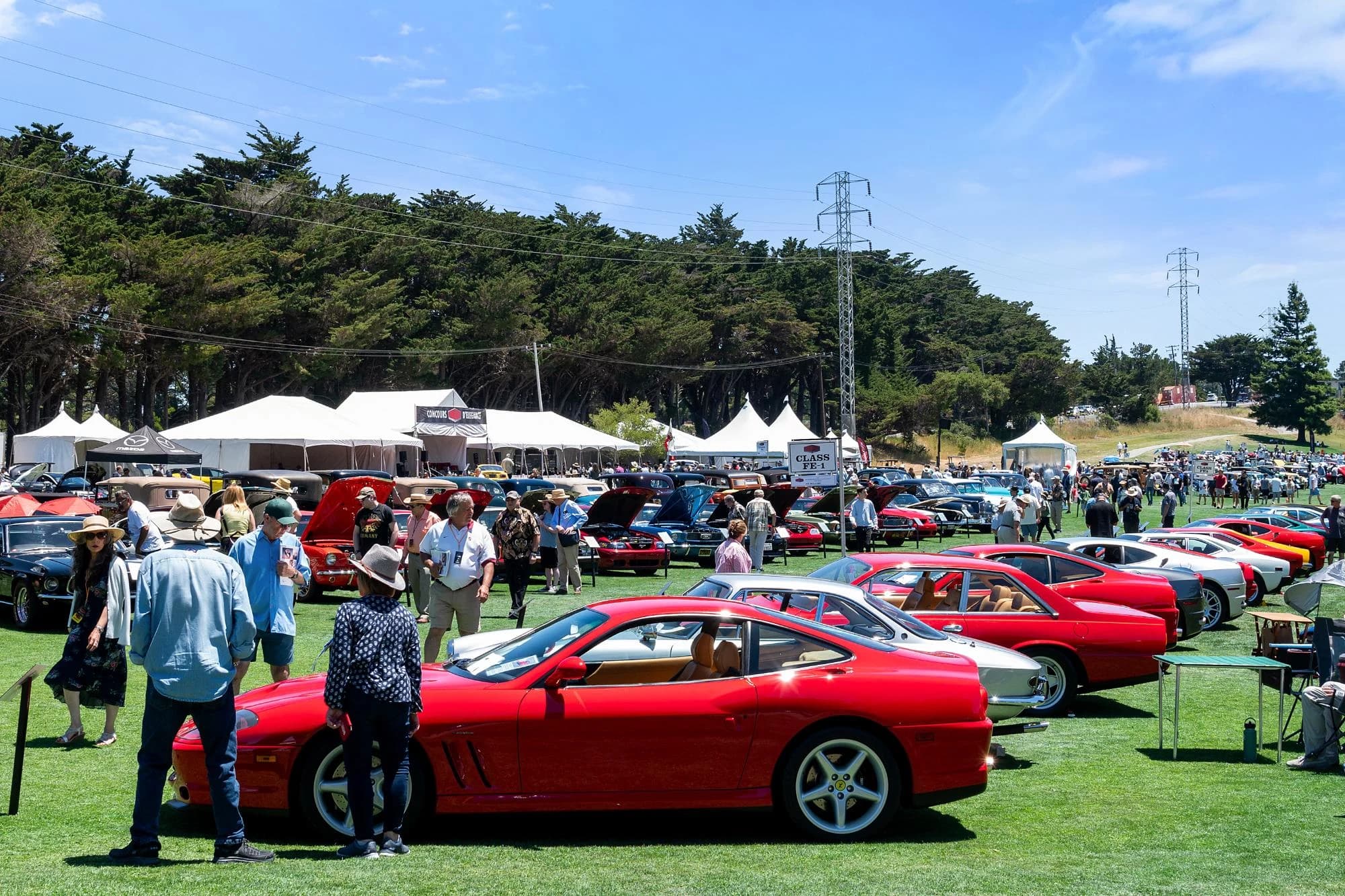 Hillsborough Concours d’Elegance, Hillsborough