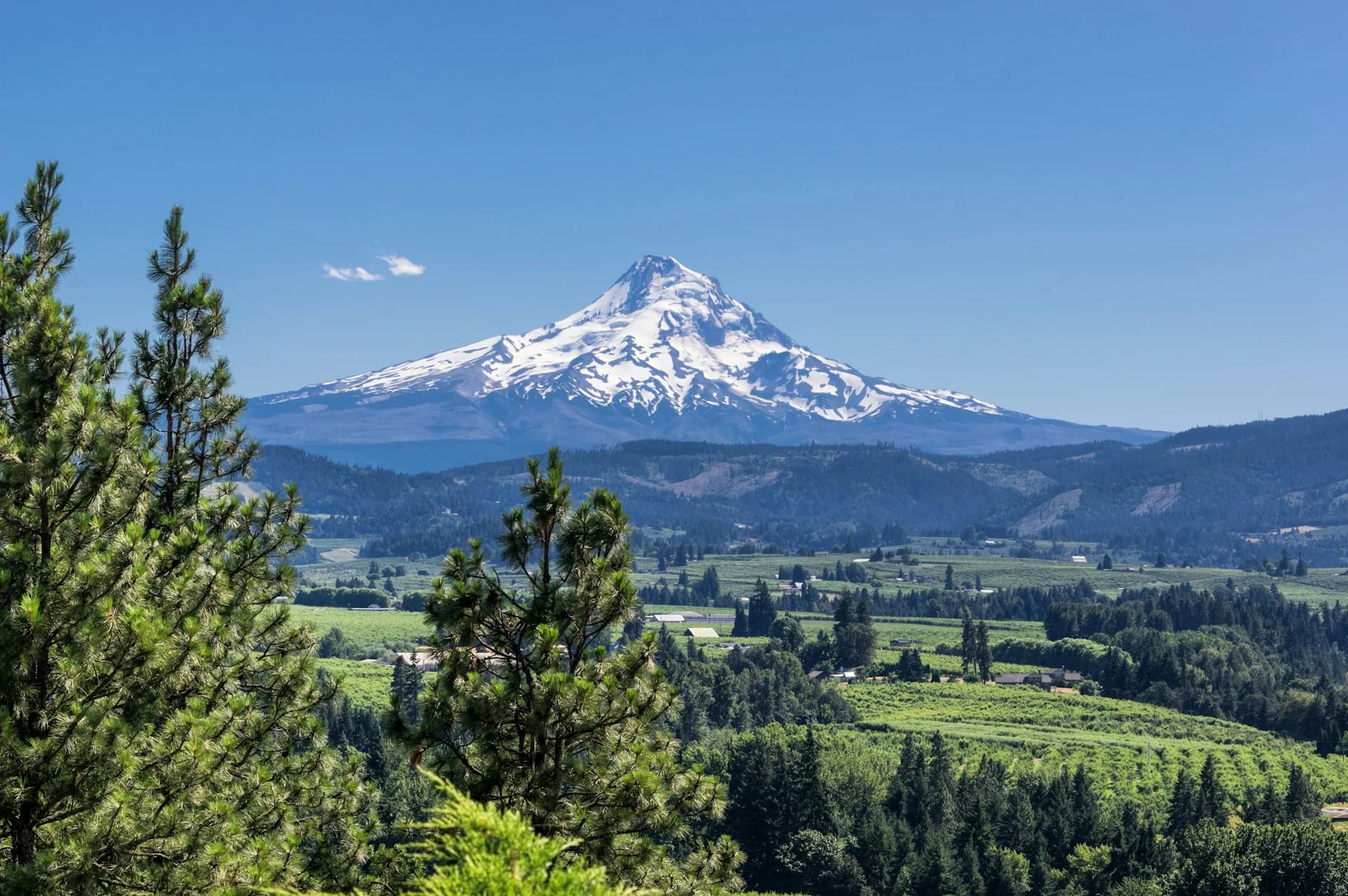 Mount Hood