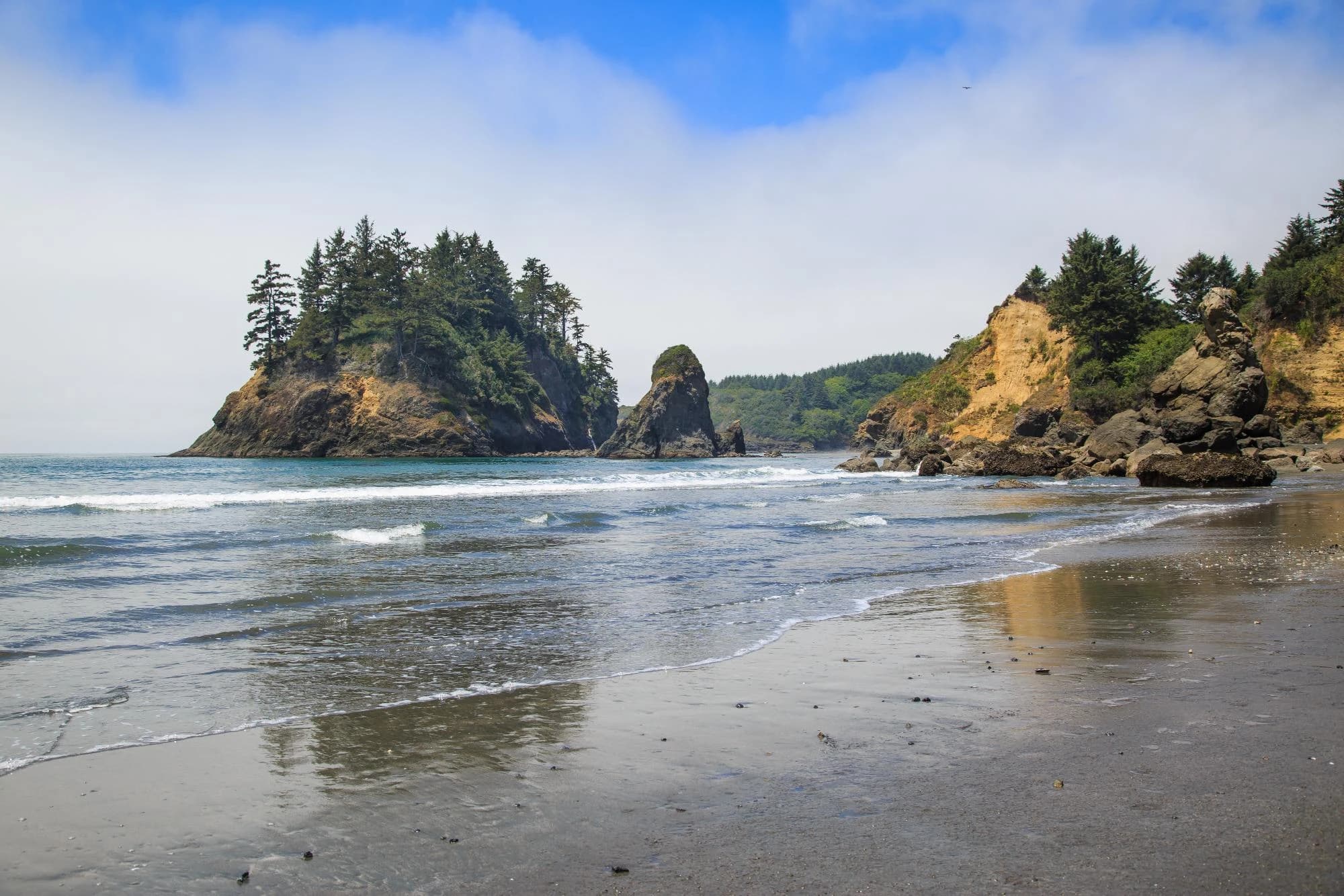 Trinidad State Beach