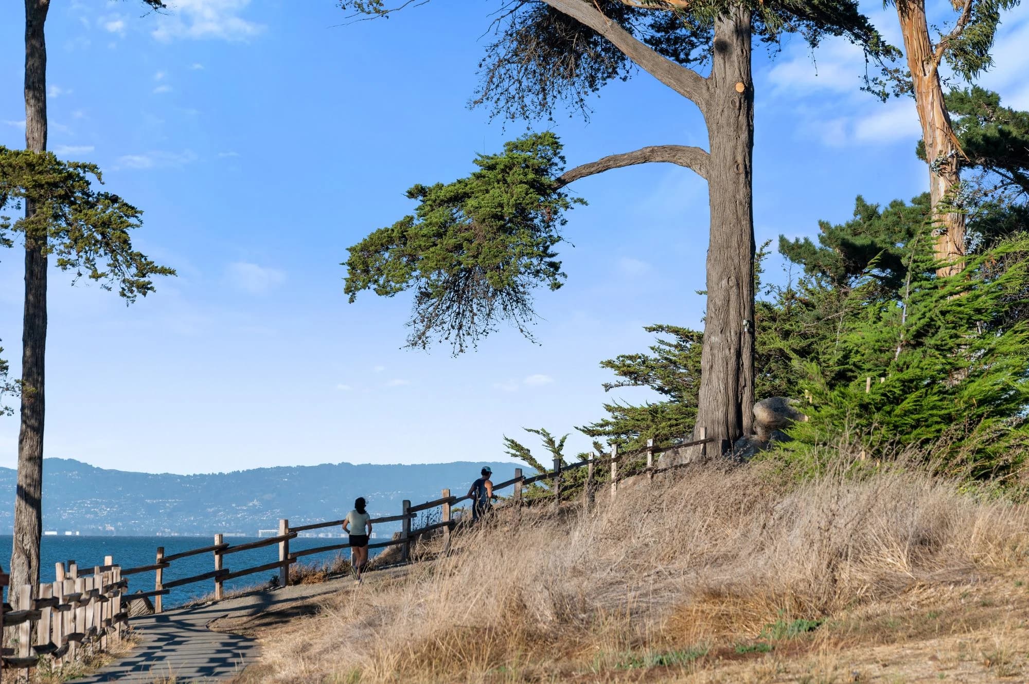 Coyote Point Recreation Area, San Mateo