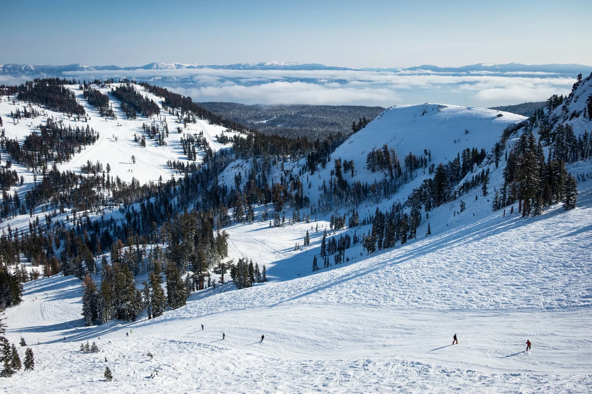 Alpine Meadows
