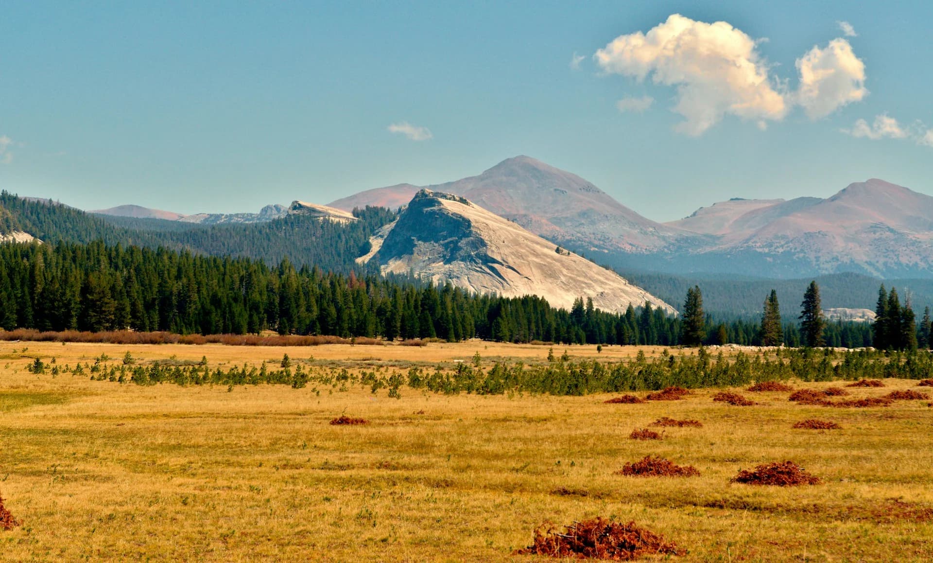Tuolumne Meadows