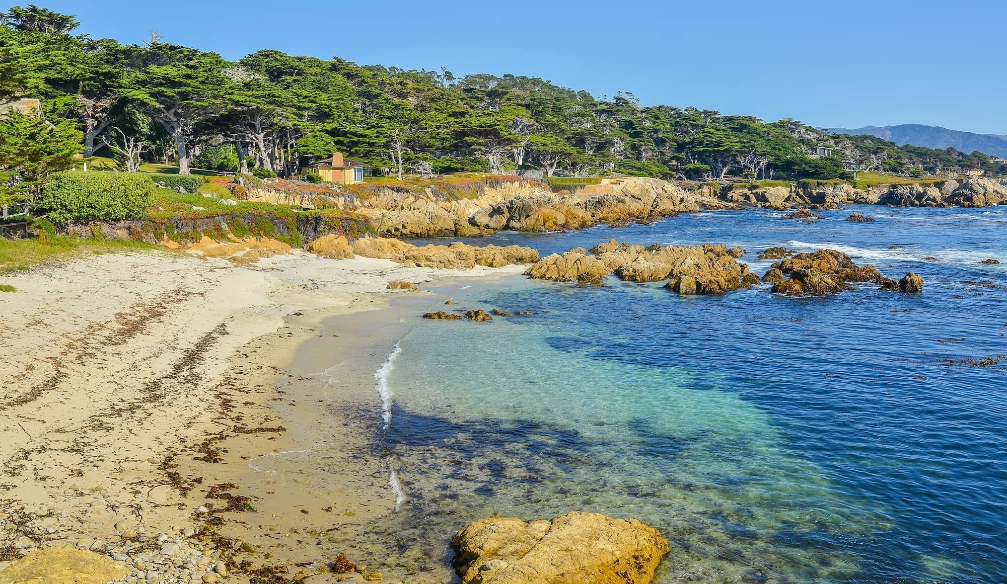Cypress Point Lookout