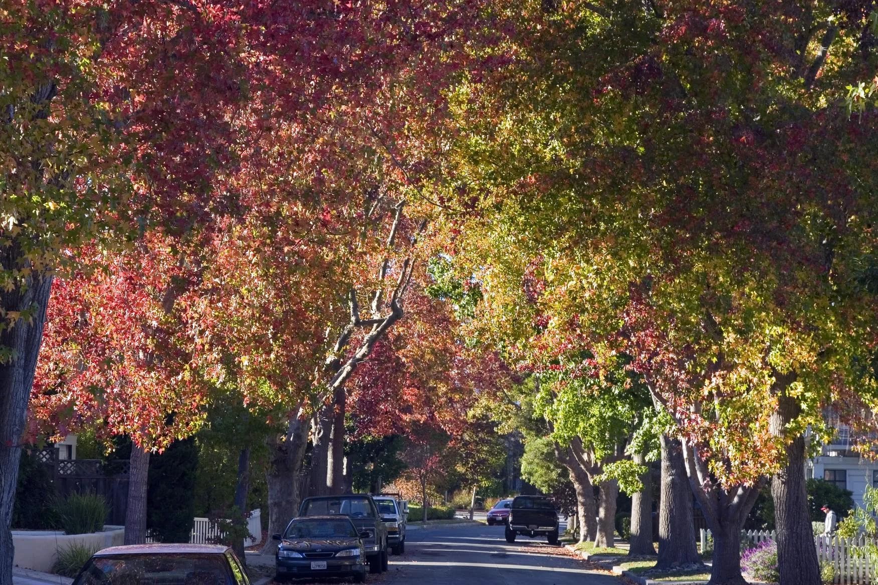 Burlingame